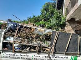 Same-Day Junk Removal Services in Mount Morris, IL